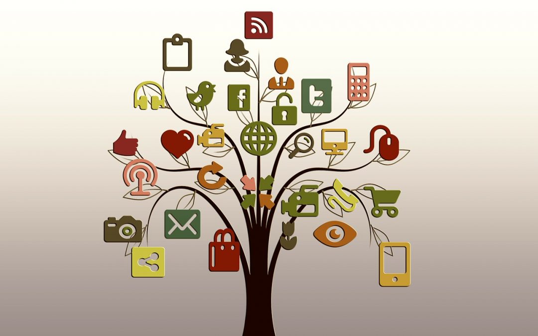 Qué son y para qué sirven los contenidos ‘evergreen’